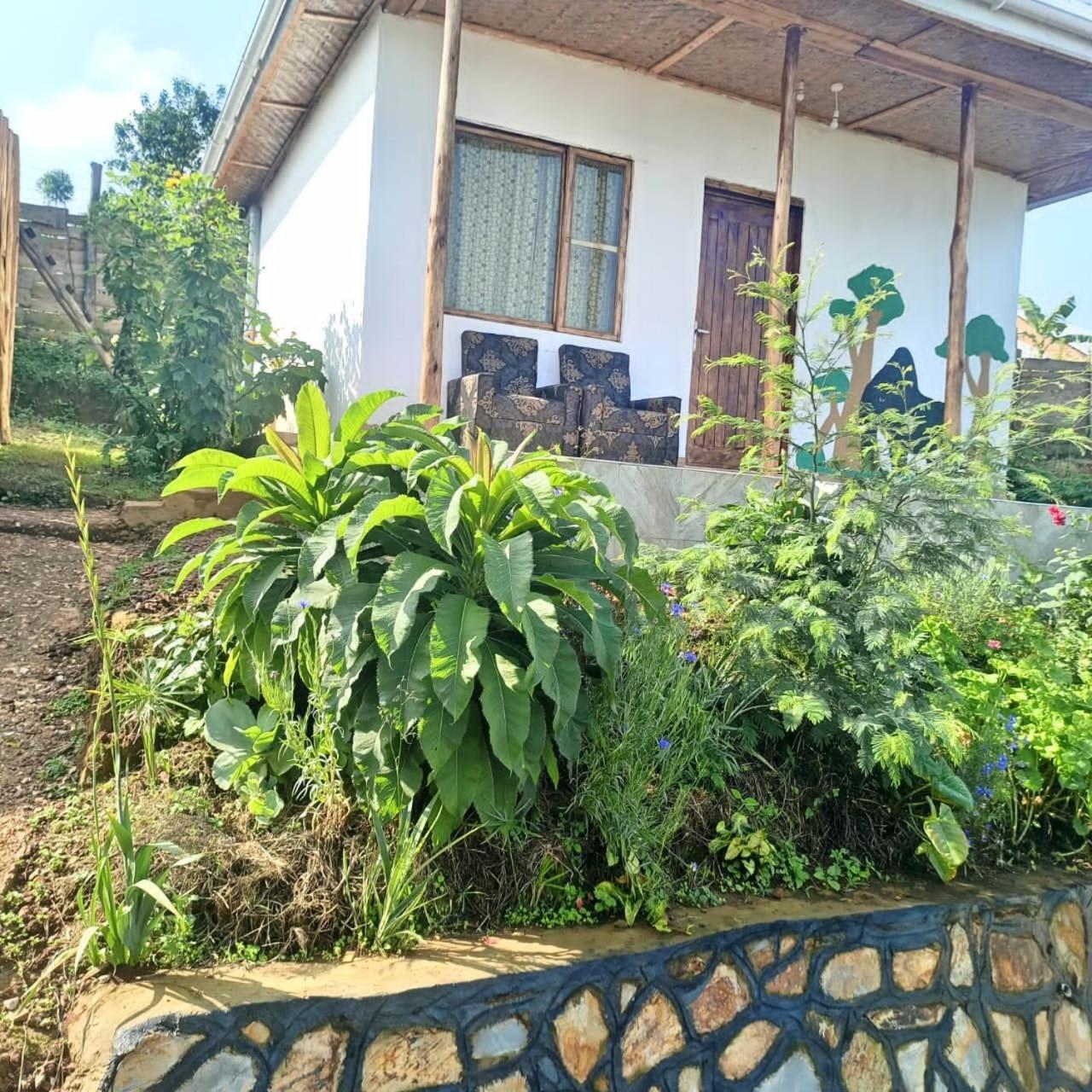 Ruhija Gorilla Guest House Kabale Esterno foto